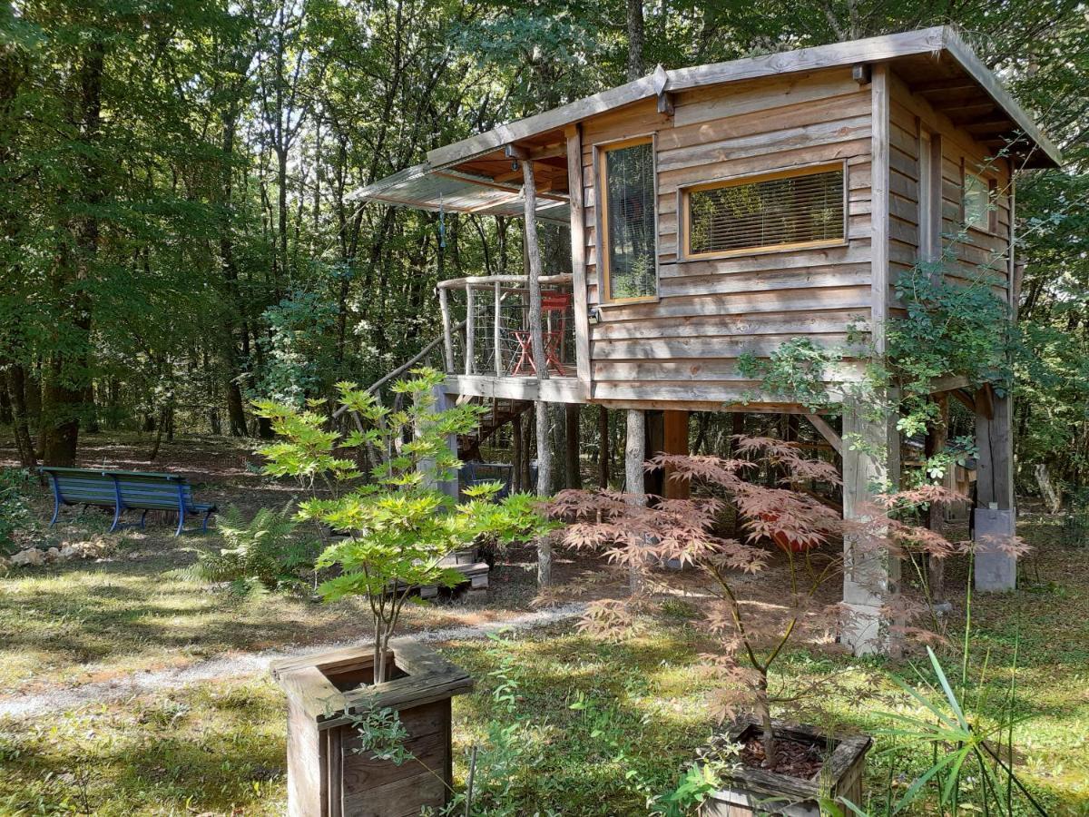 La Cabane De L'Oiseau Couze-et-Saint-Front エクステリア 写真