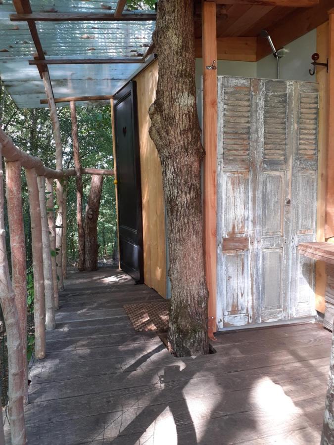 La Cabane De L'Oiseau Couze-et-Saint-Front エクステリア 写真