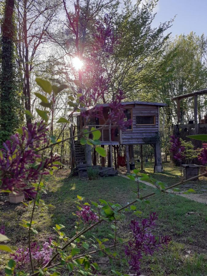 La Cabane De L'Oiseau Couze-et-Saint-Front エクステリア 写真