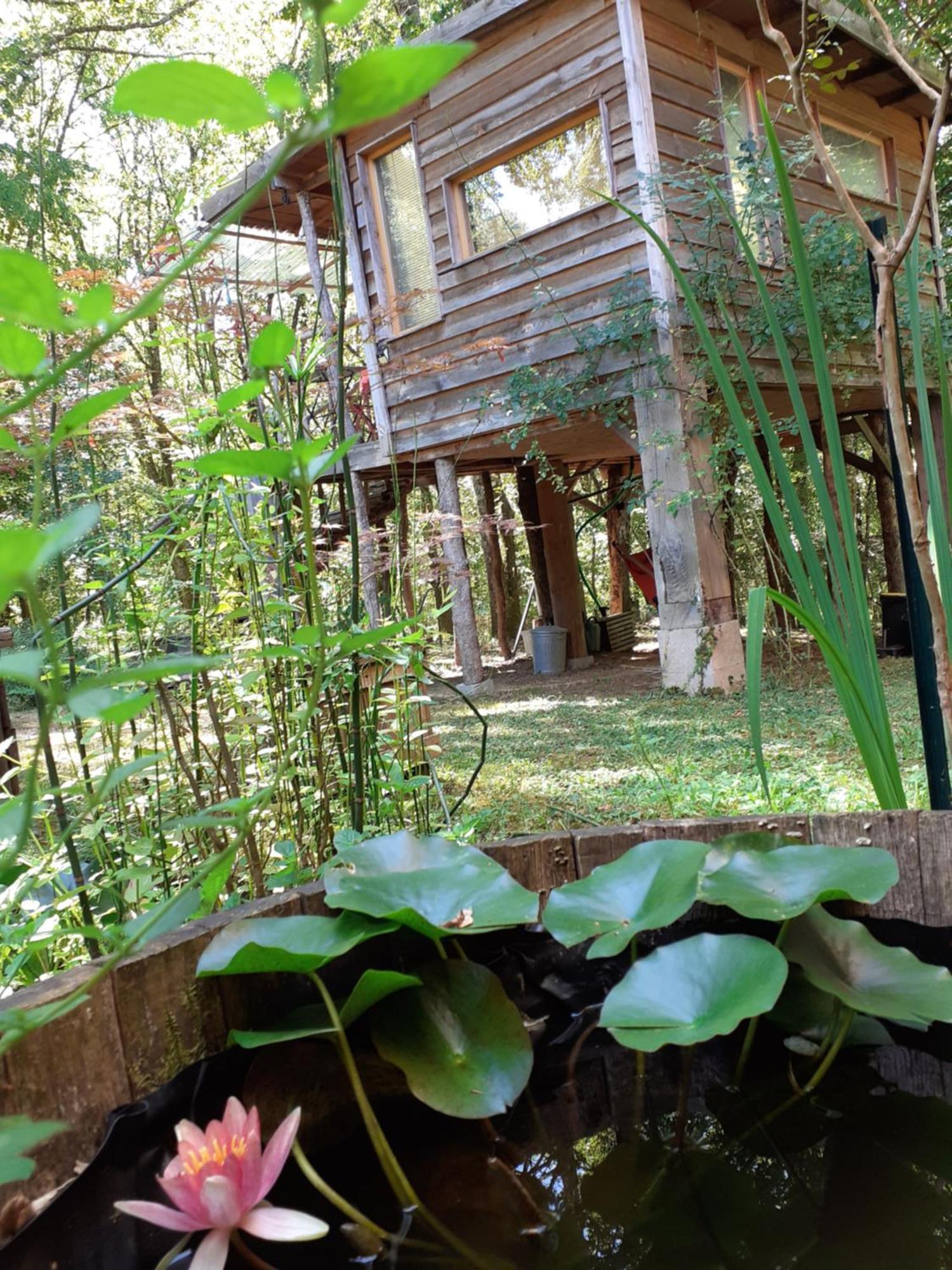 La Cabane De L'Oiseau Couze-et-Saint-Front エクステリア 写真