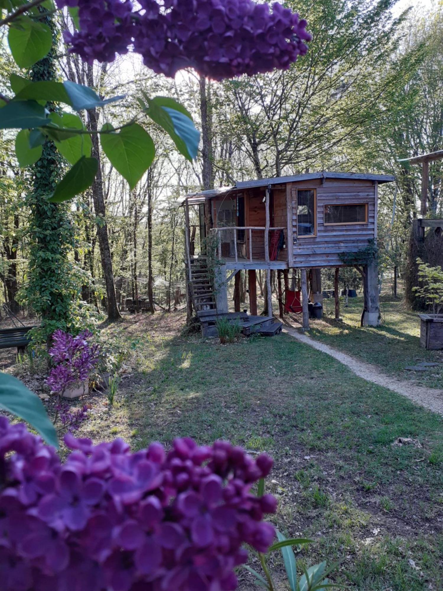 La Cabane De L'Oiseau Couze-et-Saint-Front エクステリア 写真