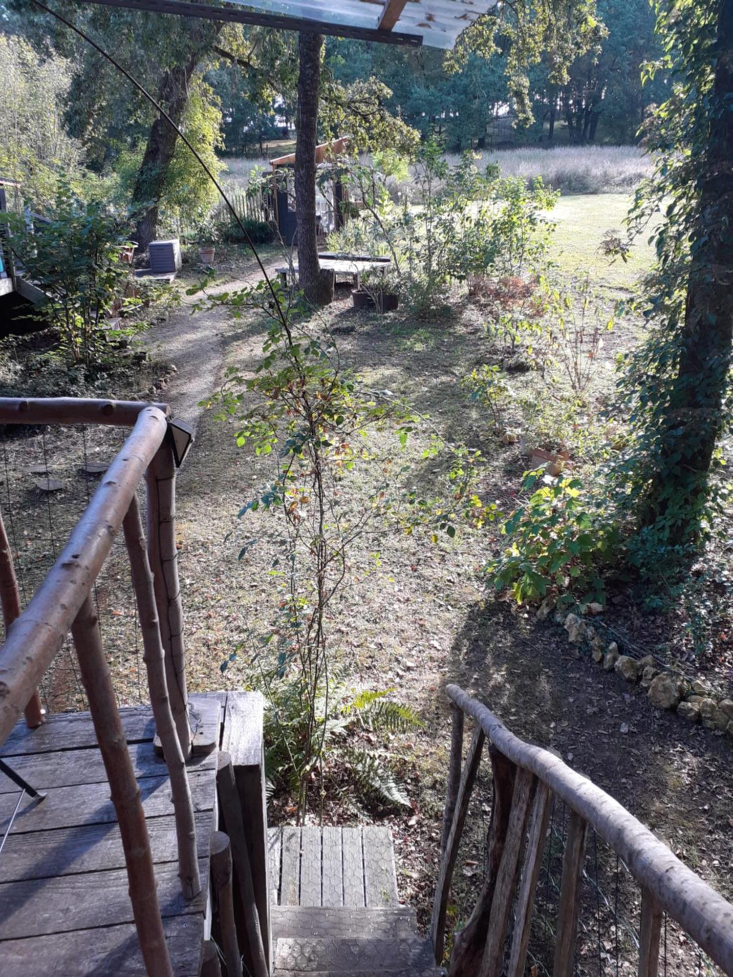 La Cabane De L'Oiseau Couze-et-Saint-Front エクステリア 写真