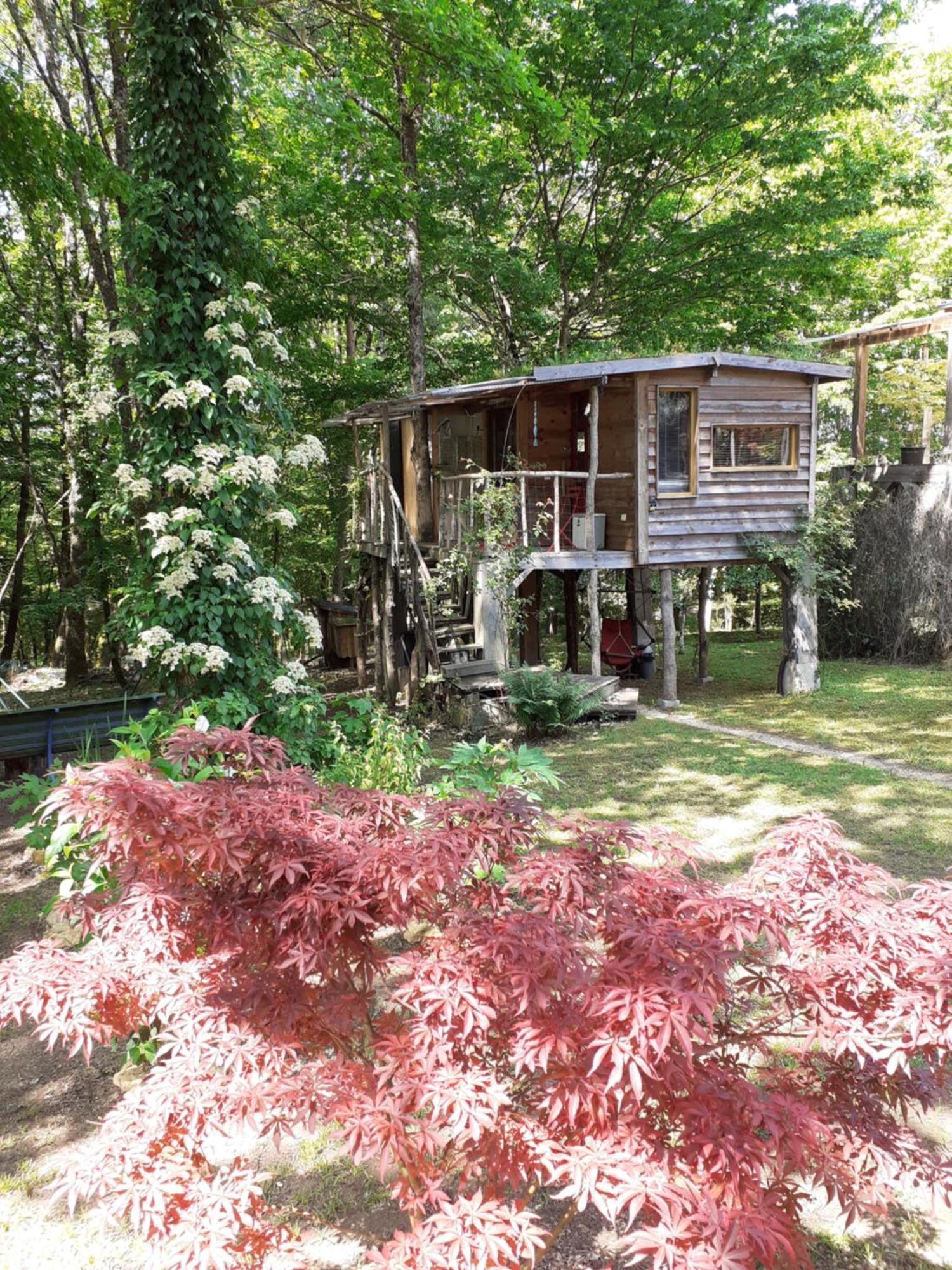 La Cabane De L'Oiseau Couze-et-Saint-Front エクステリア 写真